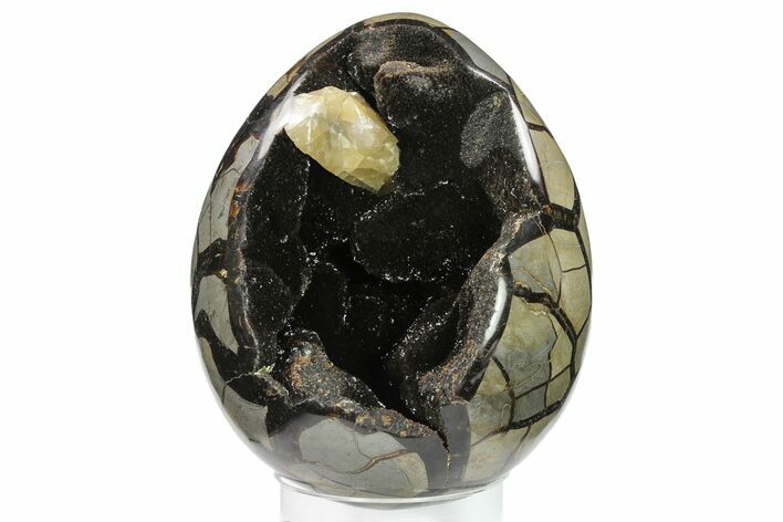 Septarian Dragon Egg Geode - Black Crystals #134631